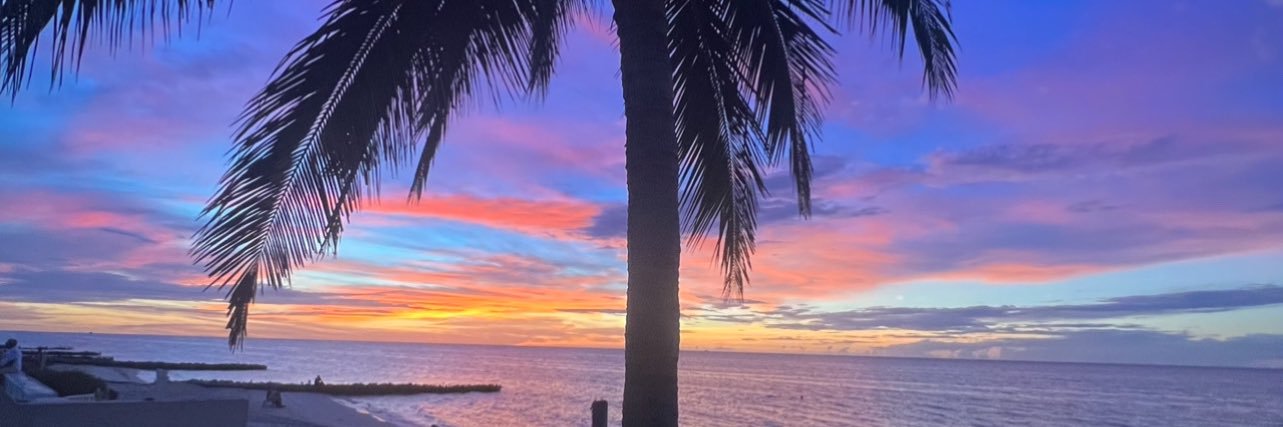 nessaxboo's profile banner image