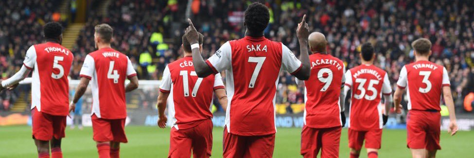 Anelka Jr banner