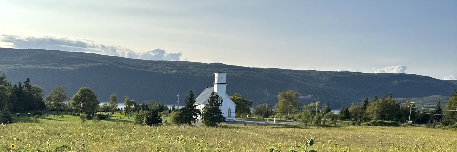 Michael Vickers banner