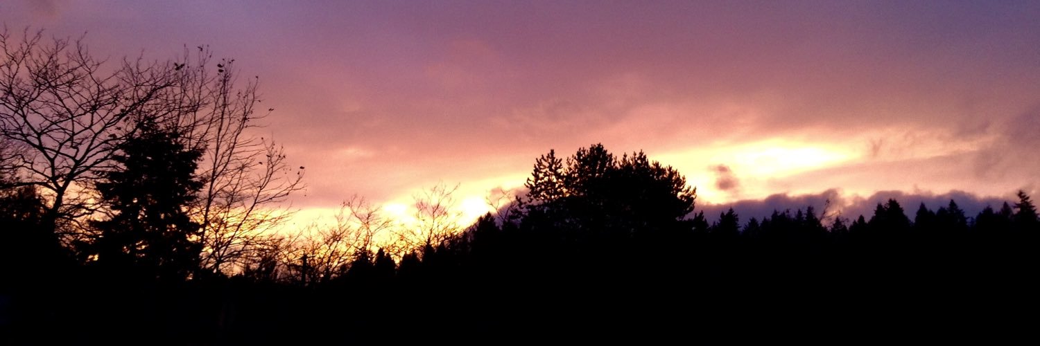 hansruch's profile banner image