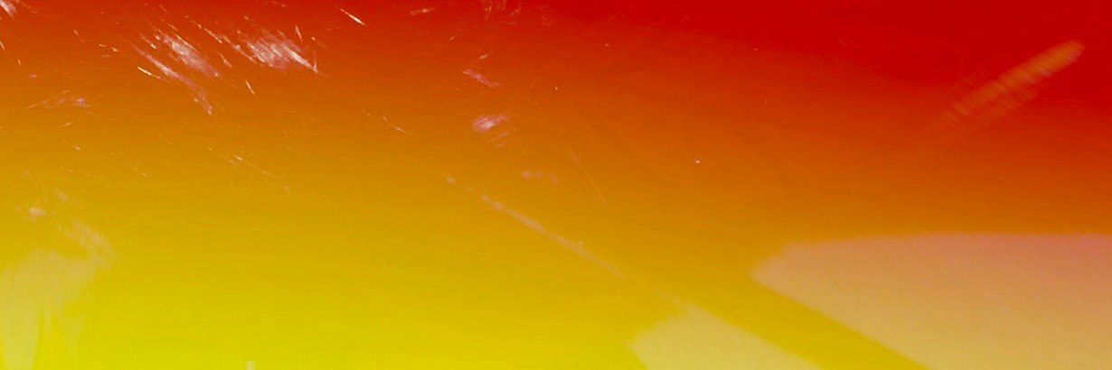 Denise Lopes banner