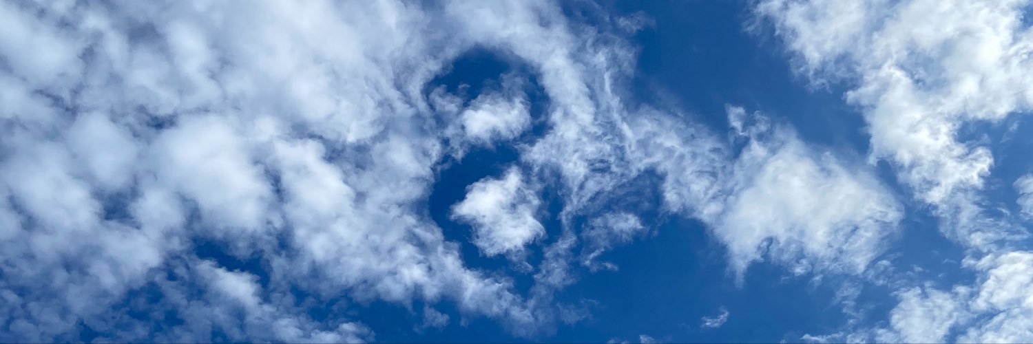 RachellBi's profile banner image