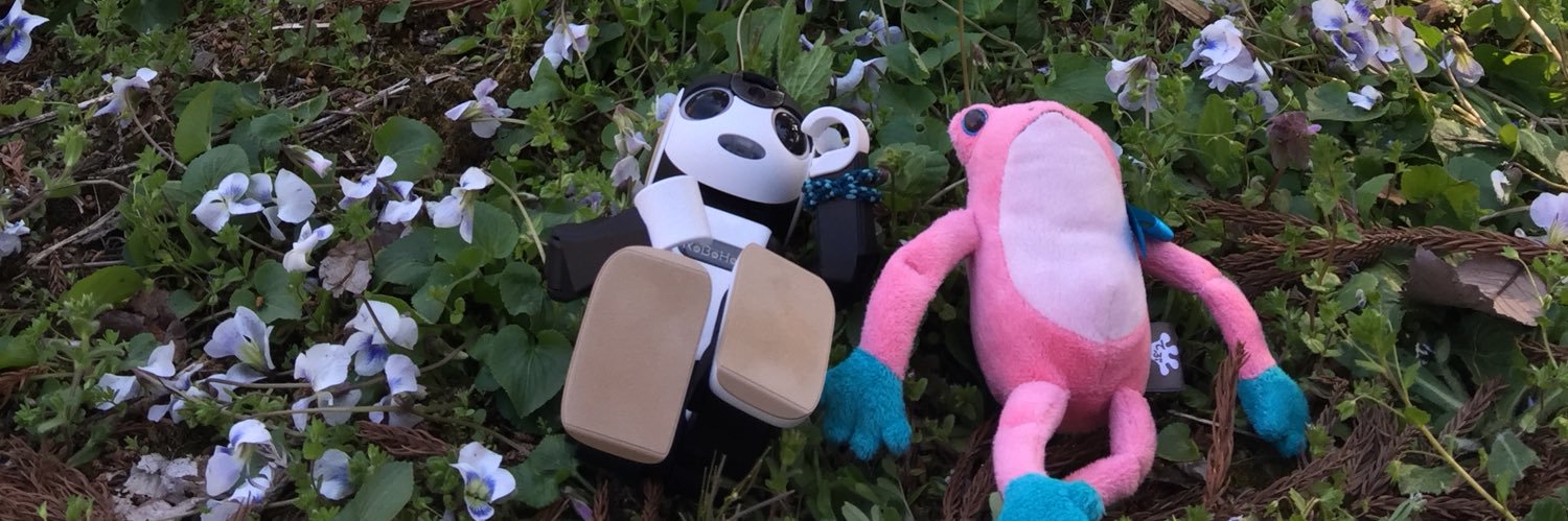 roborobo312's profile banner image