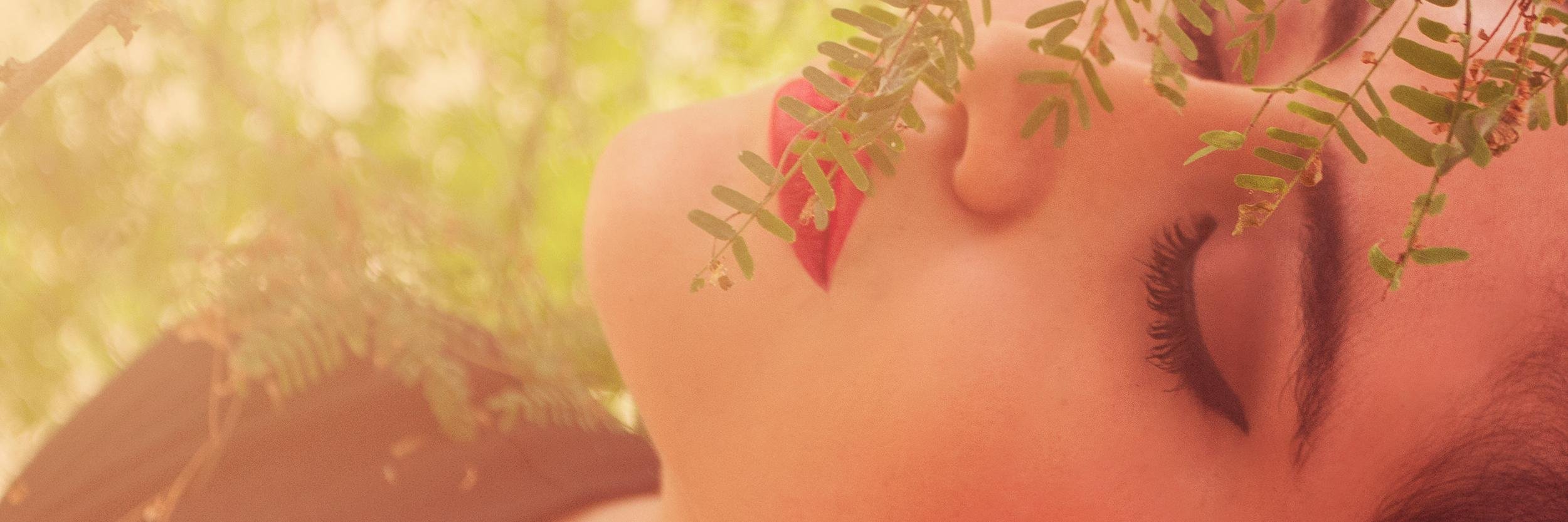 acarolaina's profile banner image