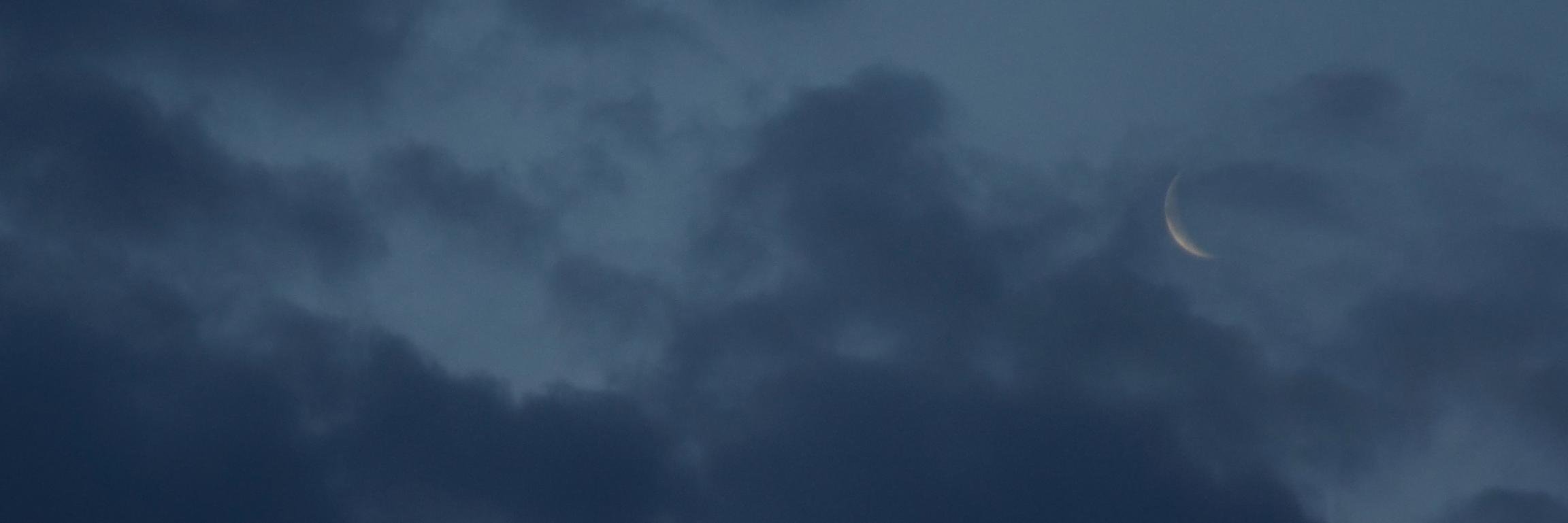 Lisdexanfetamevie banner