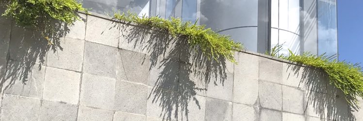 MahaaRaaani's profile banner image