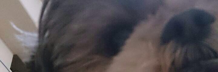 imaider_man's profile banner image