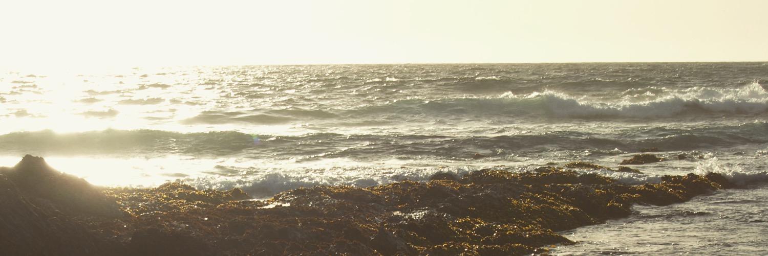 TheMatthewCox's profile banner image