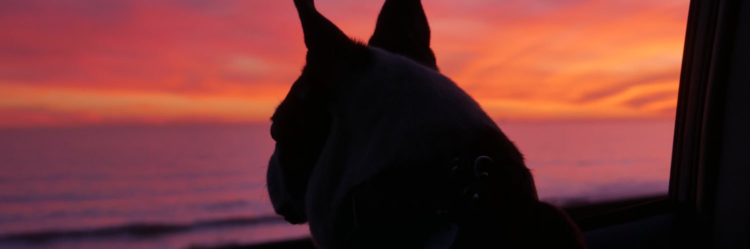 katelyntougas's profile banner image
