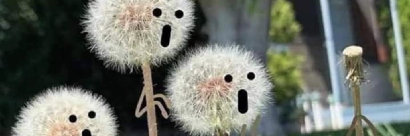 NNostrebor's profile banner image