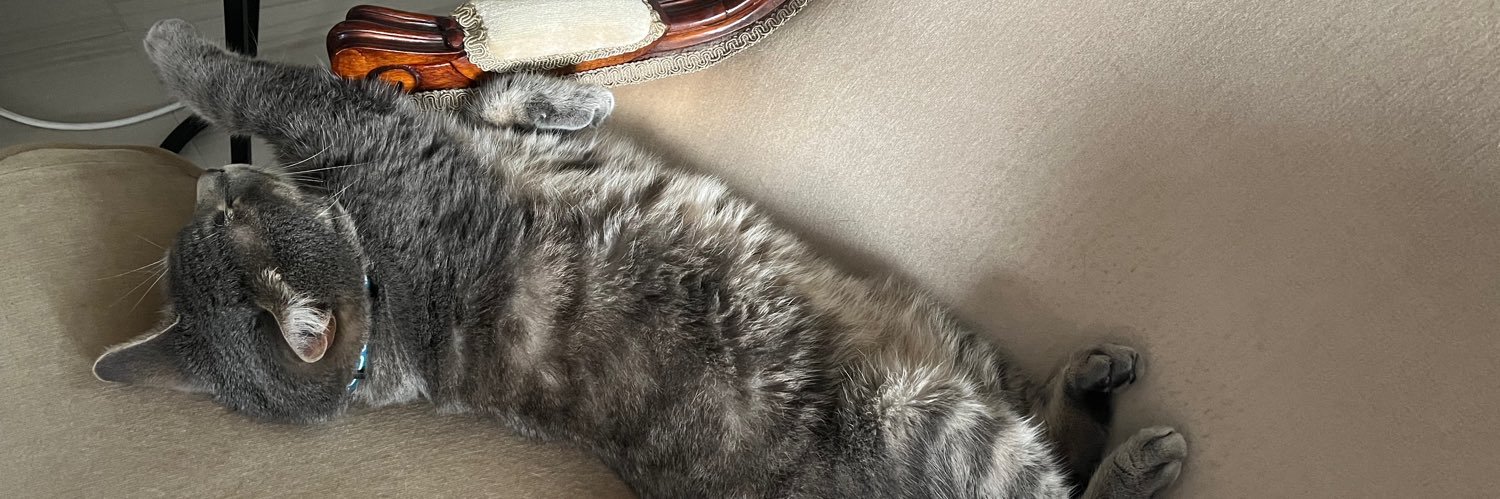 Lainey Bateman banner