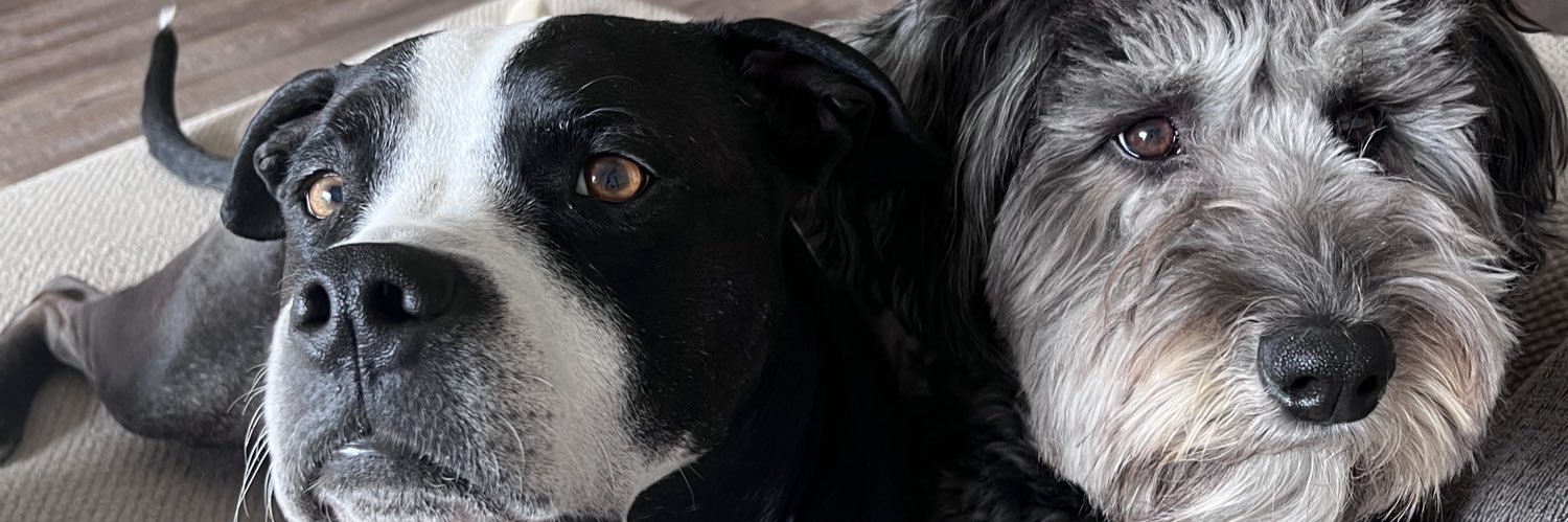 Robbie Boyles banner