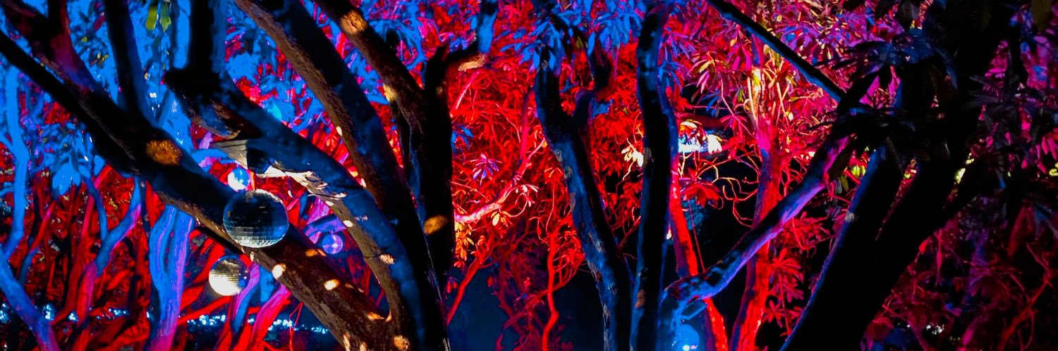 AnneGillard1's profile banner image