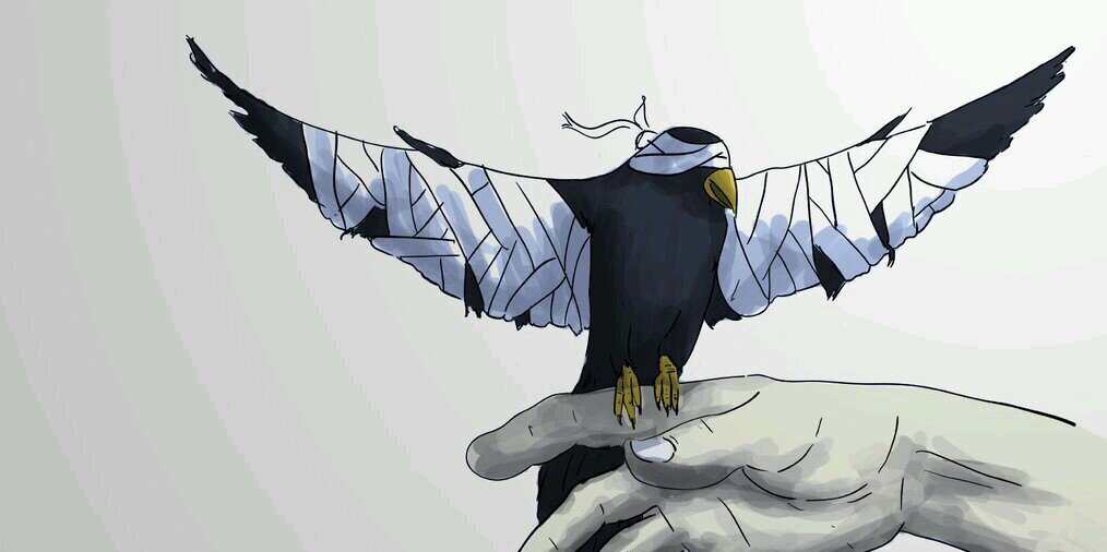 hndruu's profile banner image