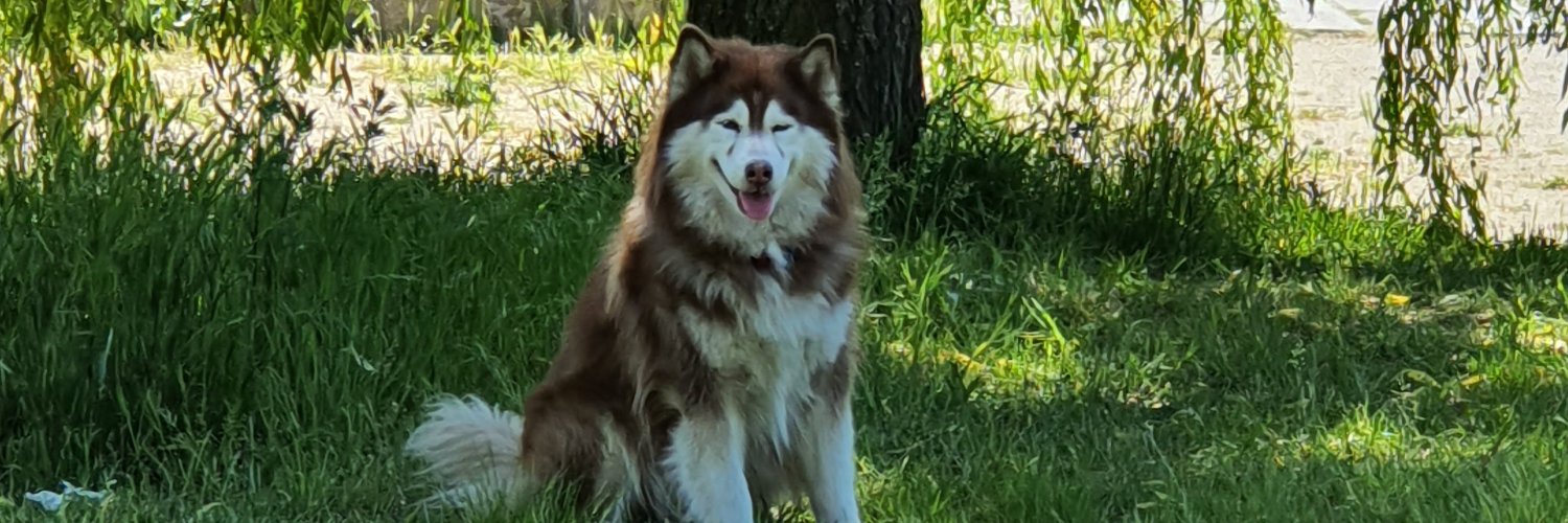tomofnz's profile banner image