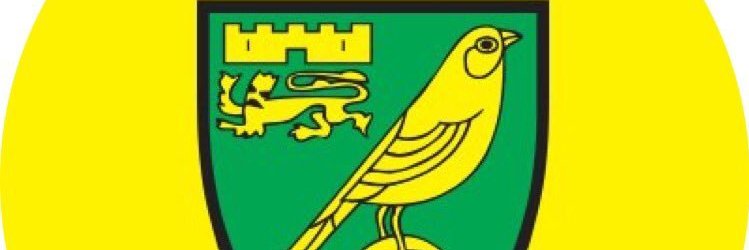 nyoseph's profile banner image