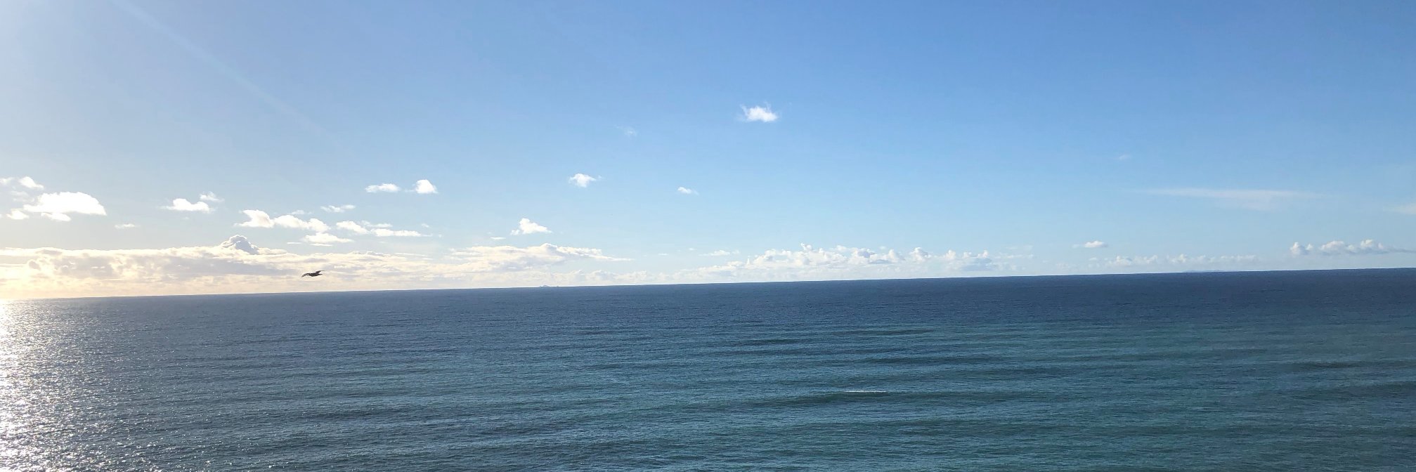 pepperonick's profile banner image