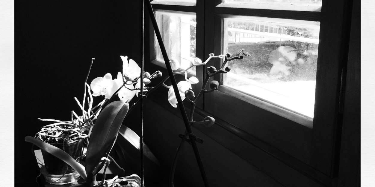 KarismNader's profile banner image