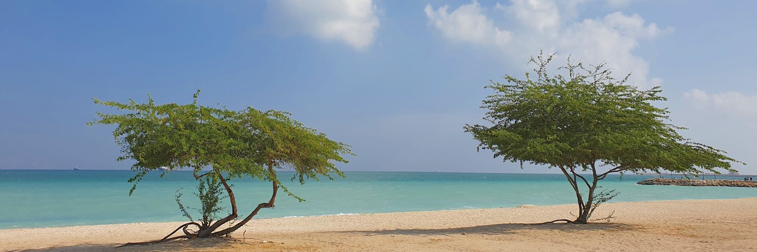 iliyahp banner