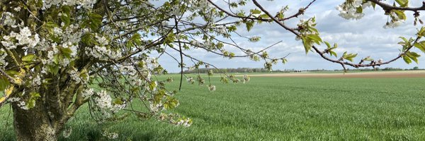 fossemidge Profile Banner