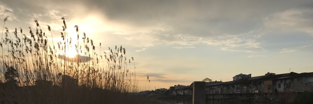Alirezaj 🇮🇷 banner