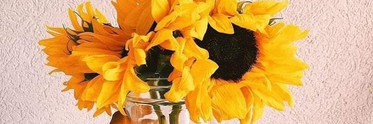 Heba_tr's profile banner image