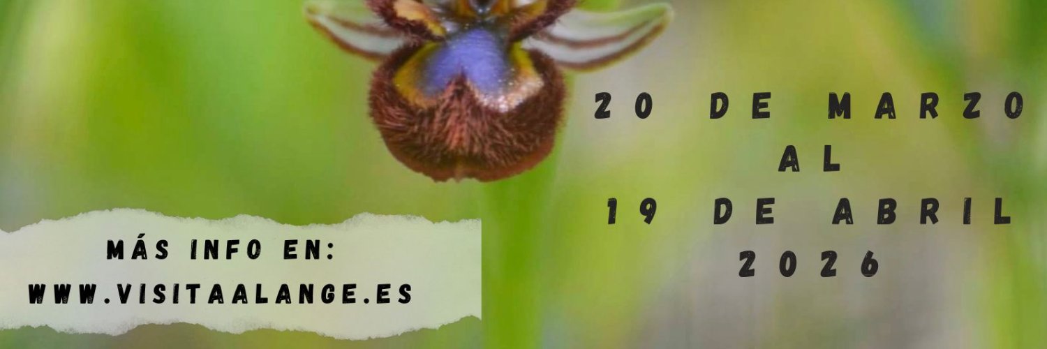 Turismo de Alange banner