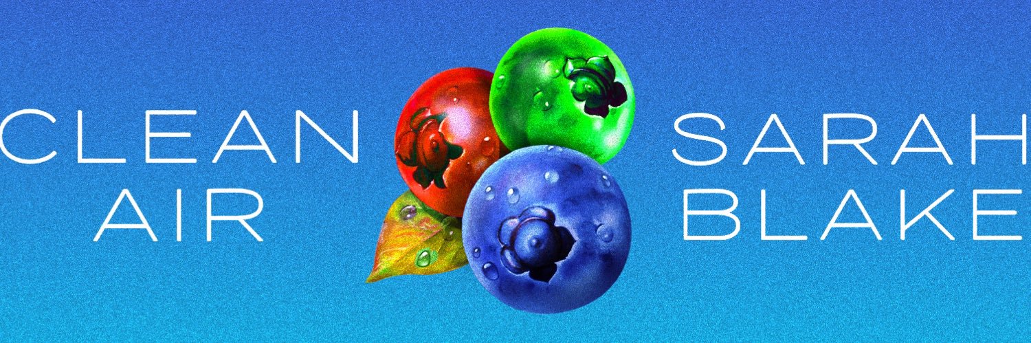 Sarah Blake banner