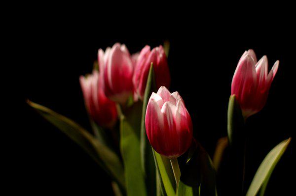 kolad_official's profile banner image