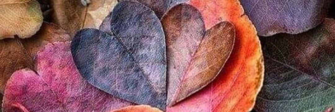 MariaGPaz's profile banner image