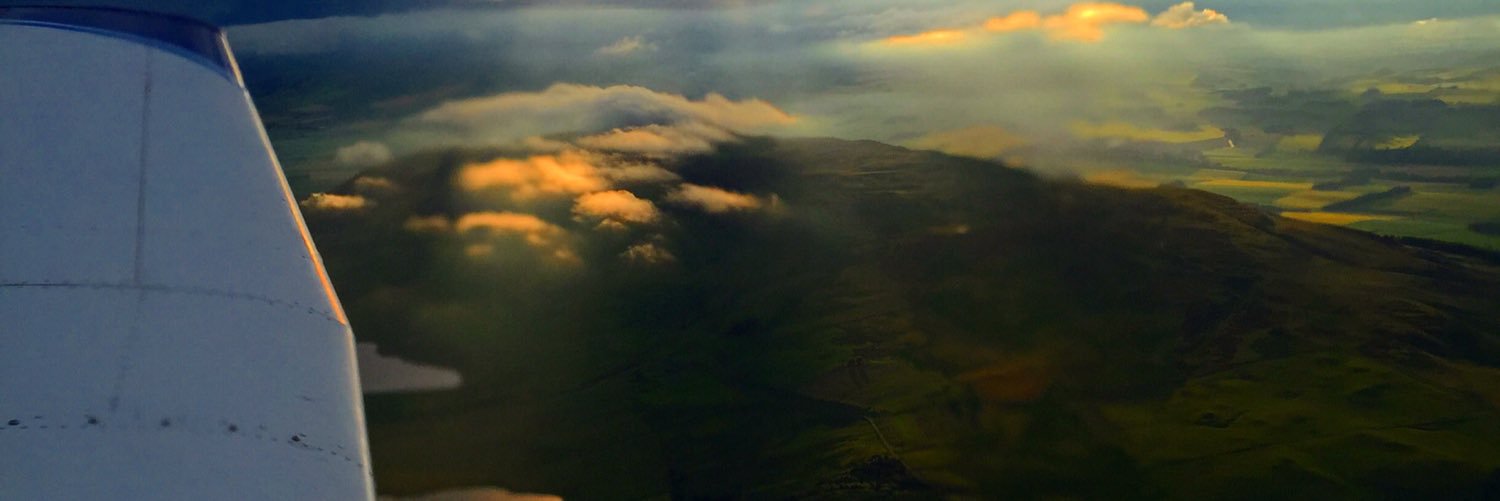 Alex banner