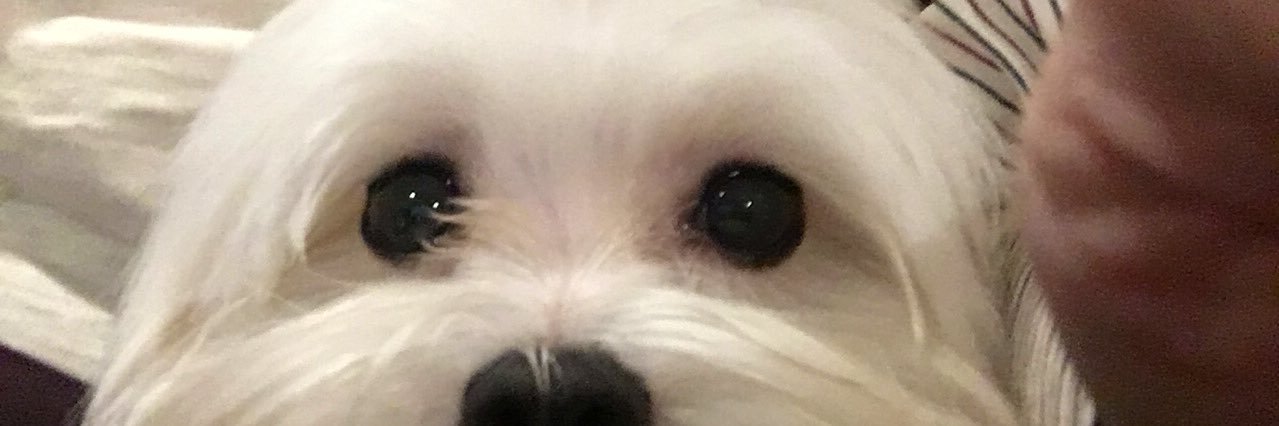 maayis's profile banner image