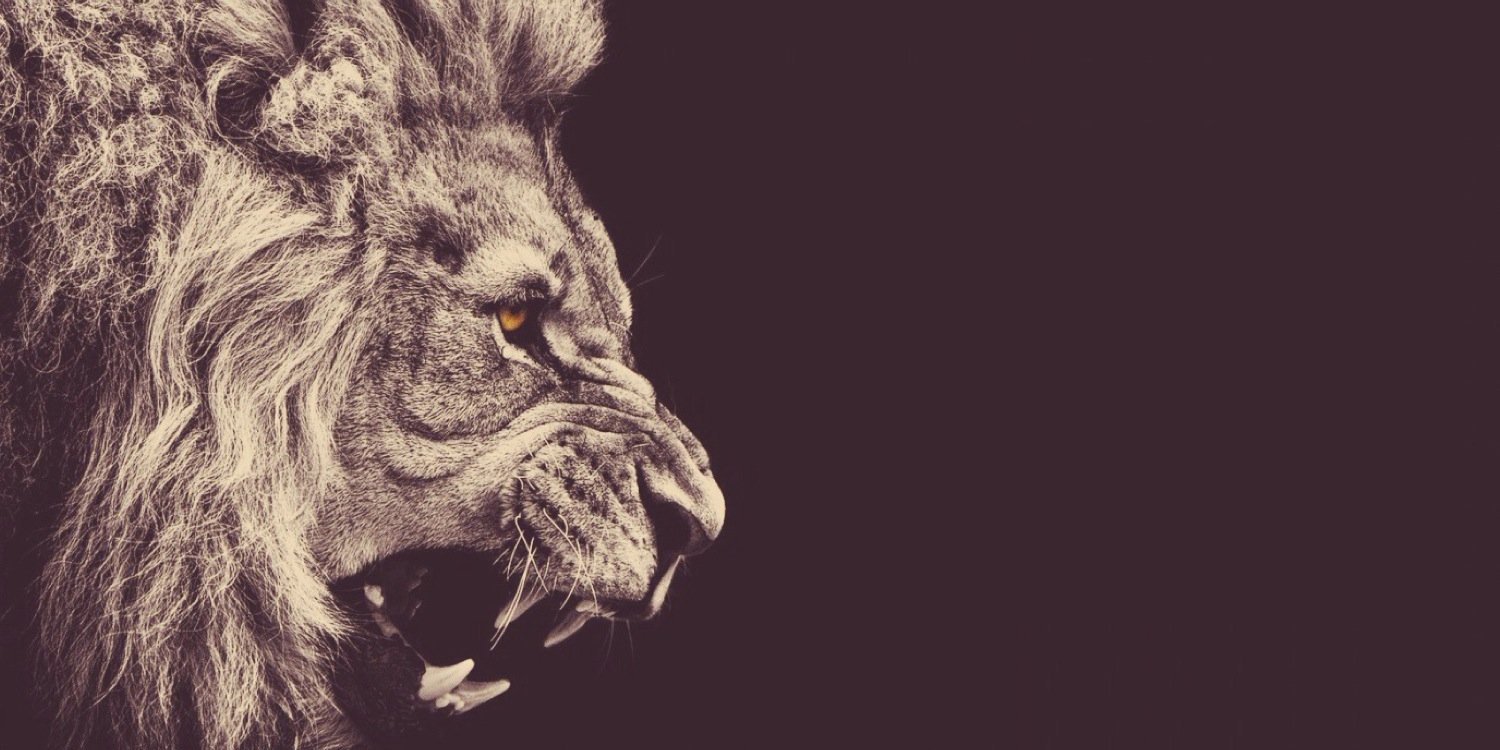 pjanny's profile banner image