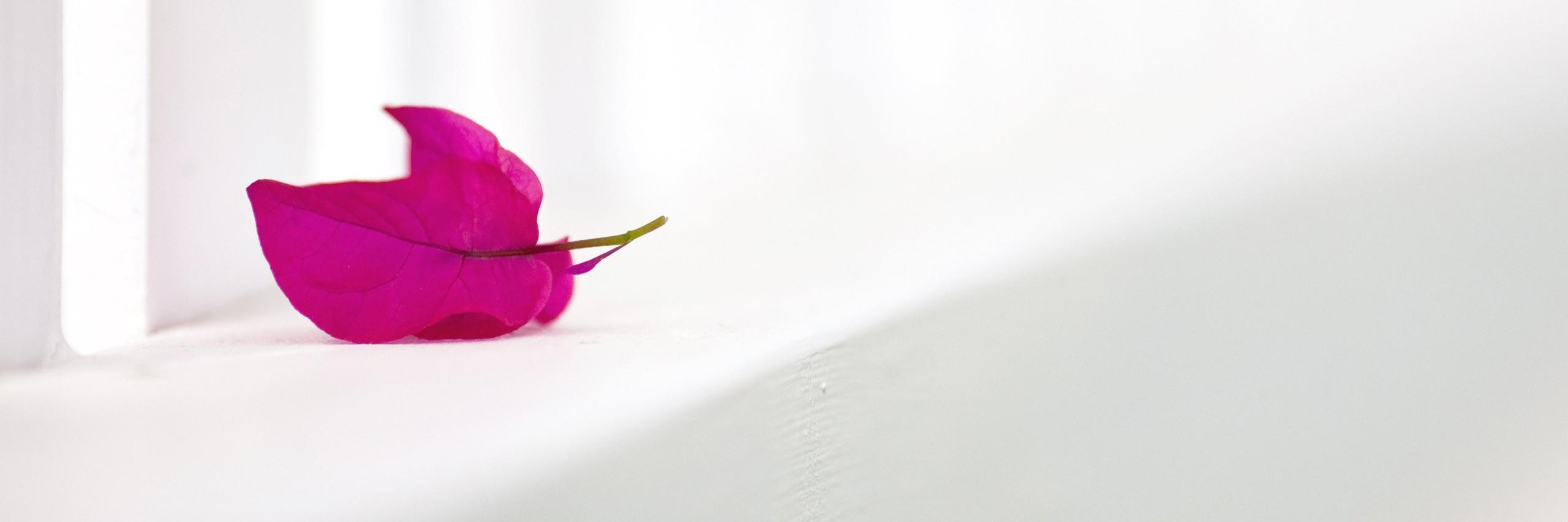 svantaggio's profile banner image