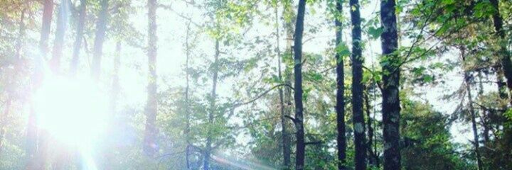 YessNMF's profile banner image