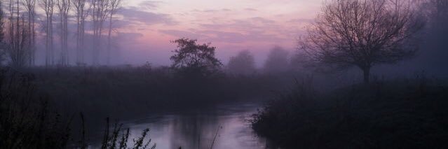 Treacy Black🌊 banner