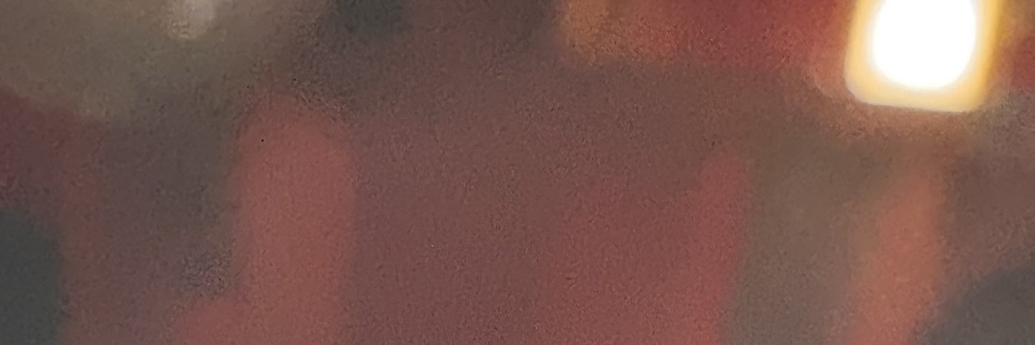 Misswidfire's profile banner image