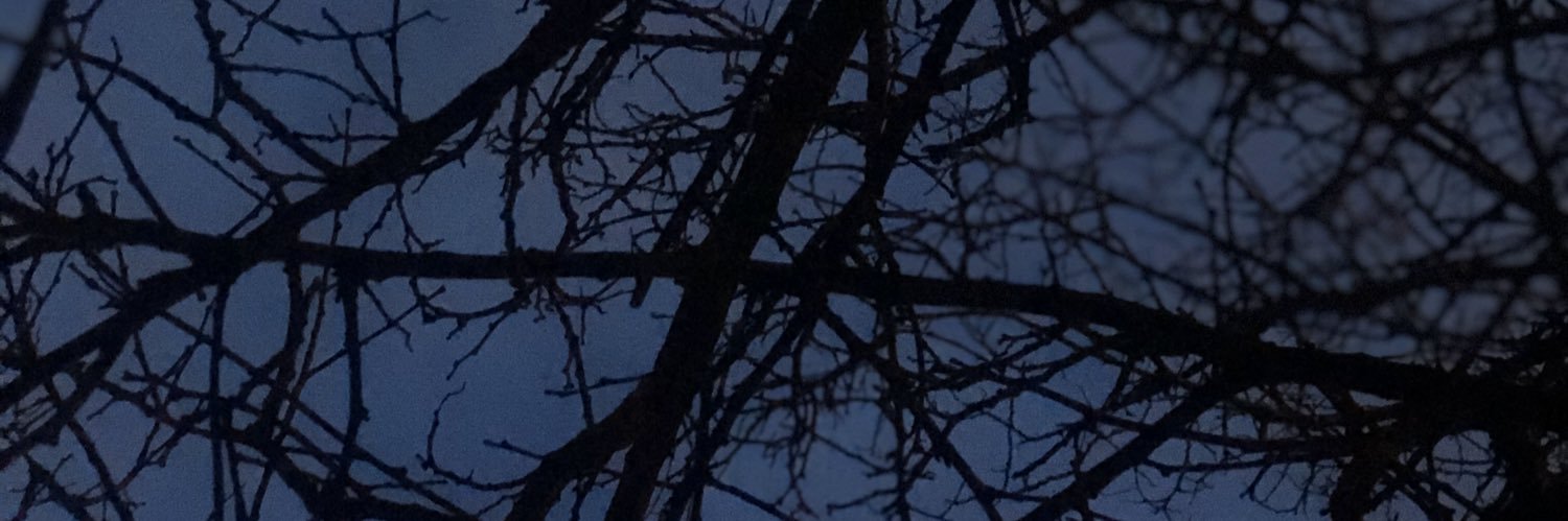 Viir_Palacios's profile banner image