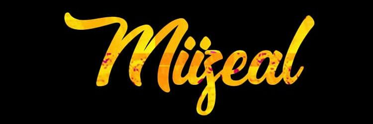 Miizeal's profile banner image