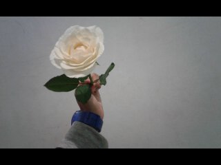 ipahsyaripah's profile banner image
