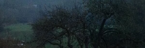 michaelethox Profile Banner