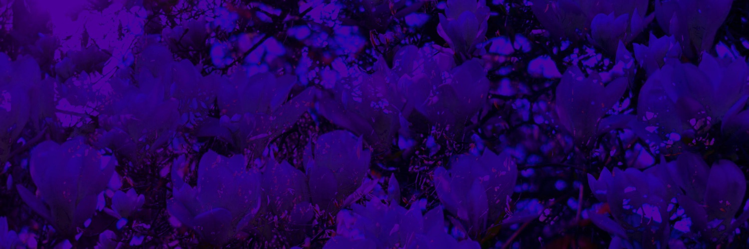 TayloredBosset's profile banner image