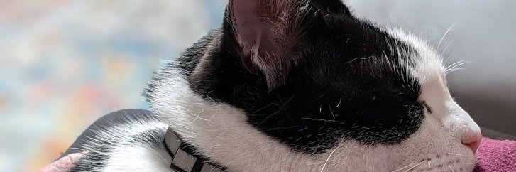 redd_moonshine's profile banner image