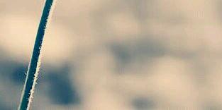 MemoOonline's profile banner image