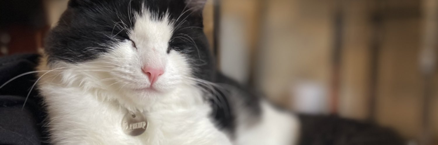 lucyfag's profile banner image