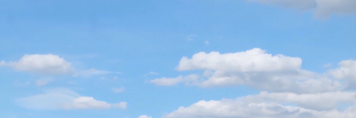 Alices_NS's profile banner image