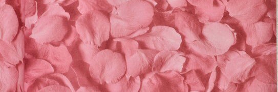 ooooooink's profile banner image