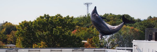 pp_spica Profile Banner