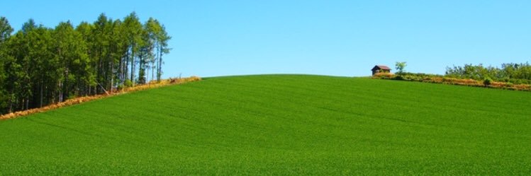 billy500's profile banner image