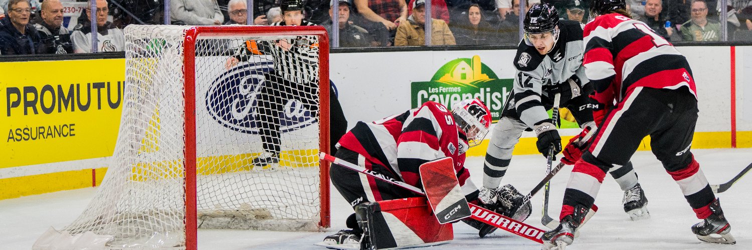 Dominic Charette Photographe banner